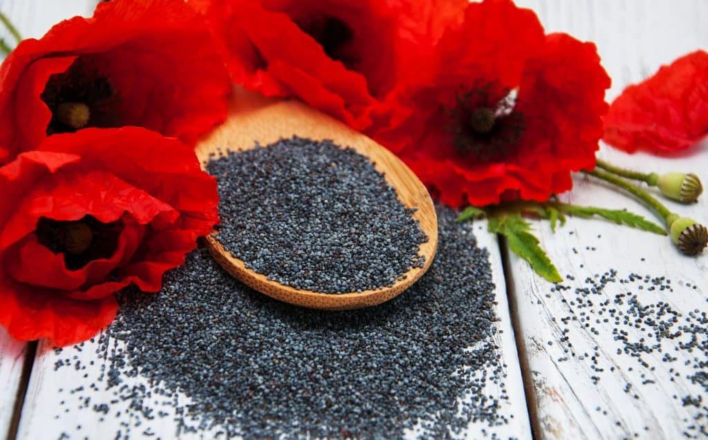 Calcium-Rich Foods : Poppy seeds