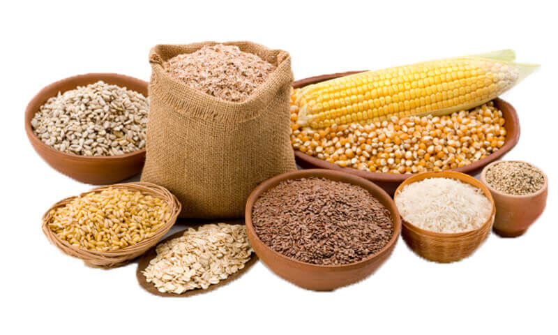 Calcium-Rich Foods : Grains